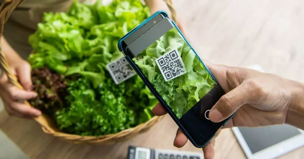 Harnessing the Benefits of QR Codes in Sustainable Agriculture
